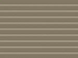 Hazelnoot